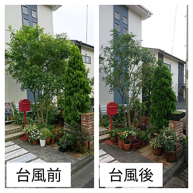 kohmarlさんの実例写真