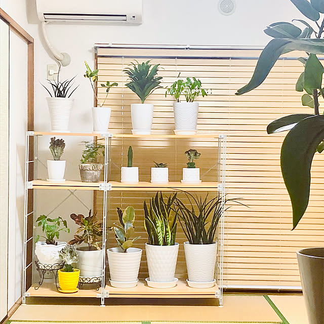 hanachanさんの部屋
