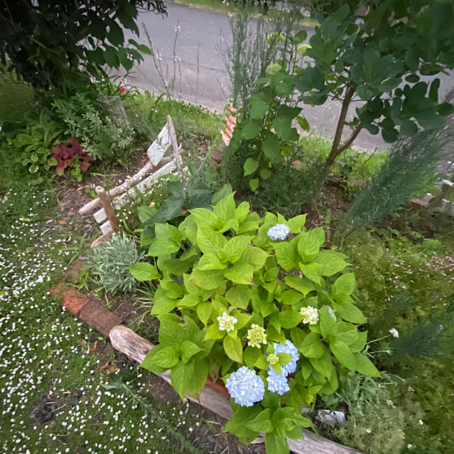 sattoさんの部屋