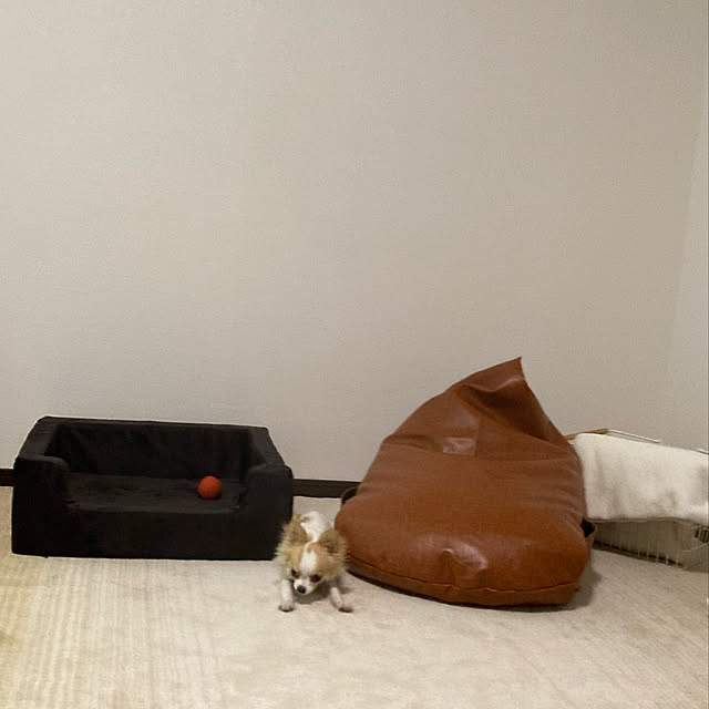 toratanさんの実例写真