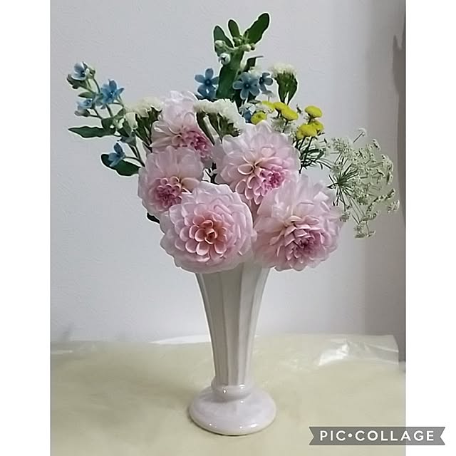 Rさんの実例写真