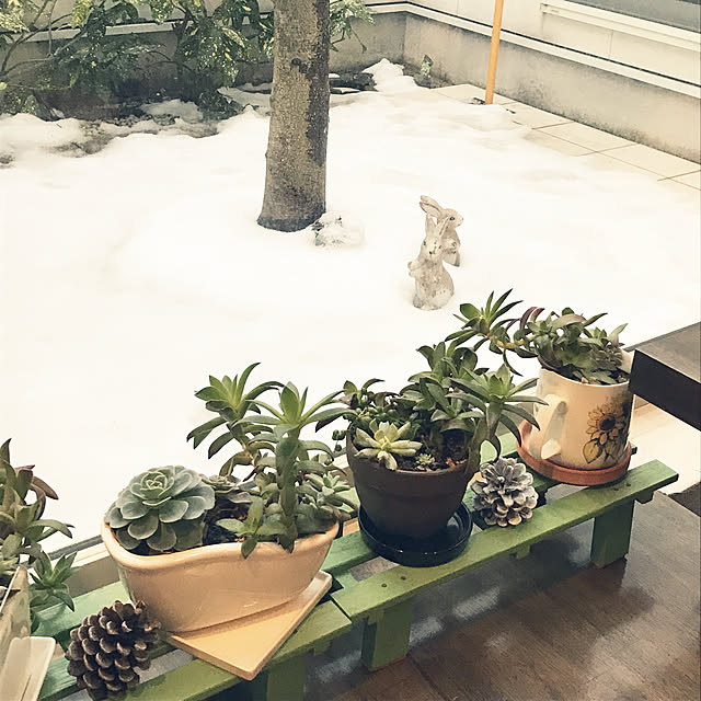 taguさんの実例写真