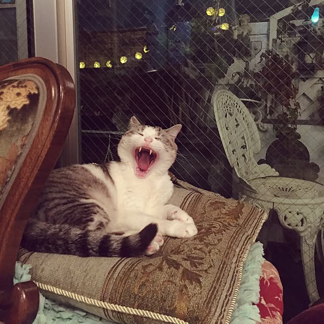 emmyyさんの実例写真