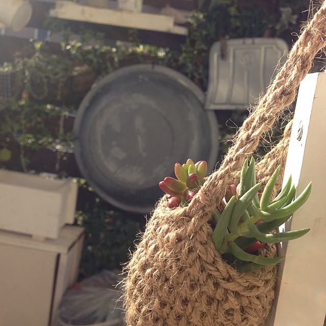 Nanaさんの実例写真