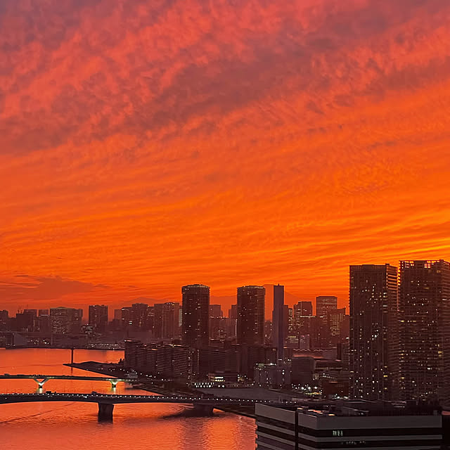 lillianjinghuiさんの部屋