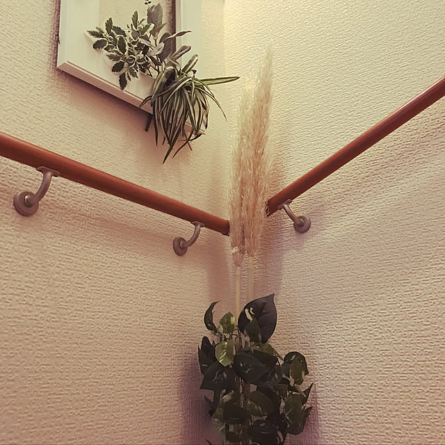 noharaさんの実例写真