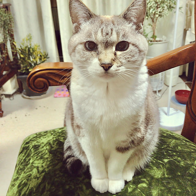 yuko25さんの実例写真