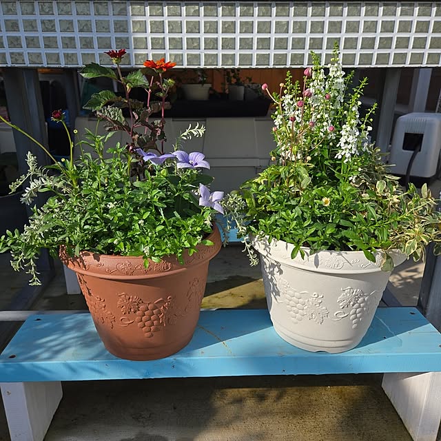 nonbiri_house_さんの部屋