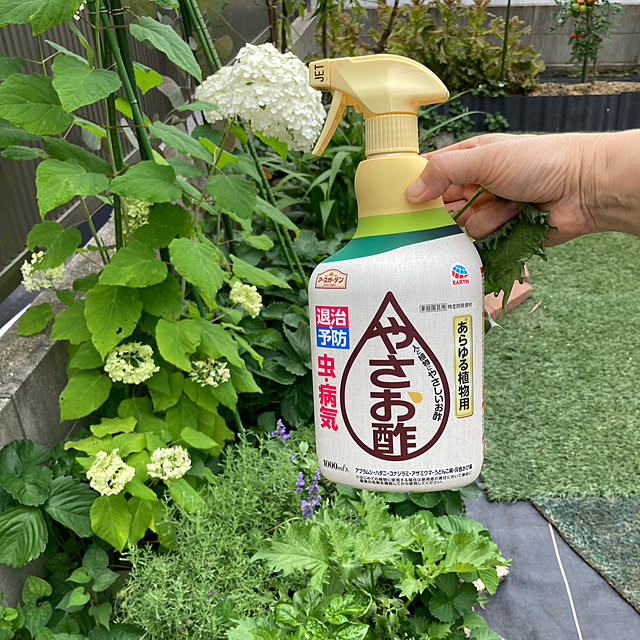 bambiさんの部屋