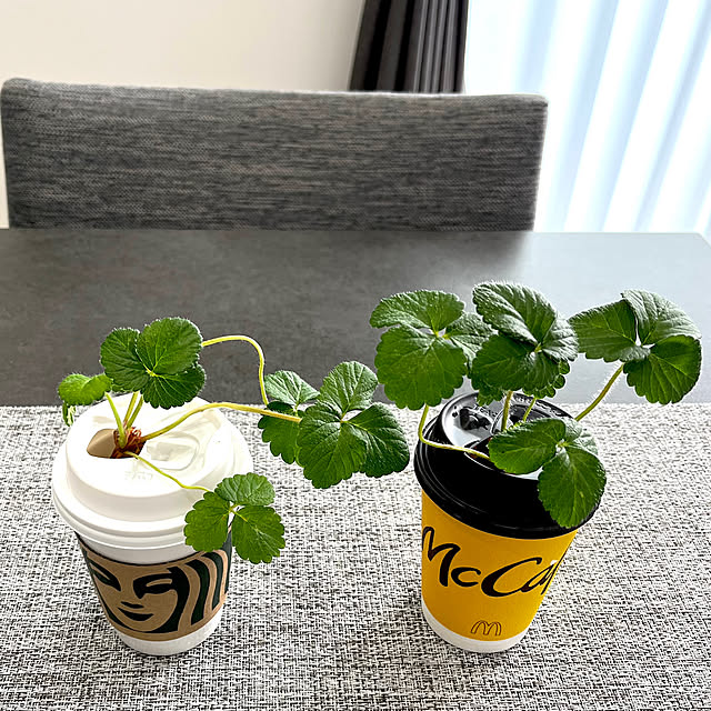 qooさんの部屋