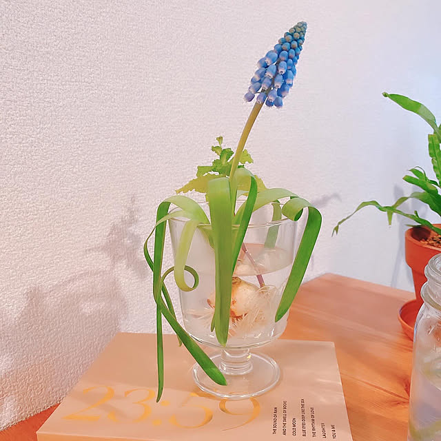 smallroomさんの実例写真