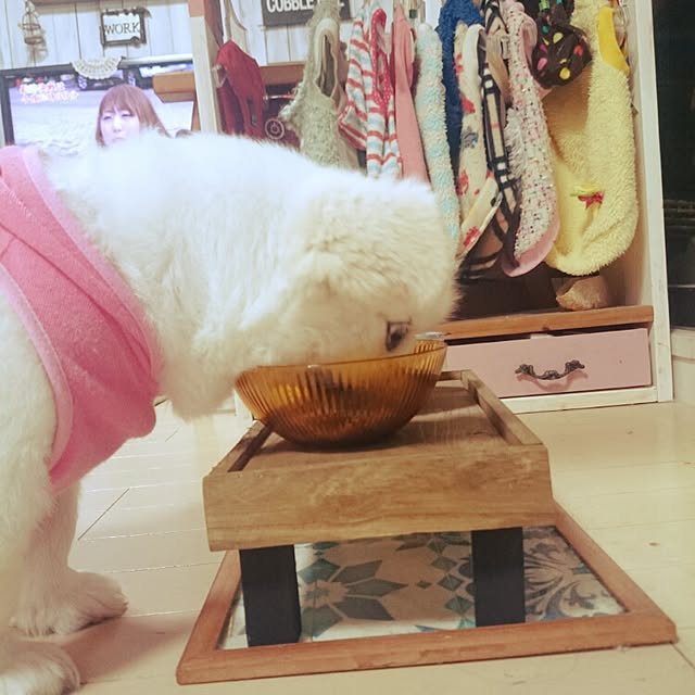 dorakichiさんの実例写真