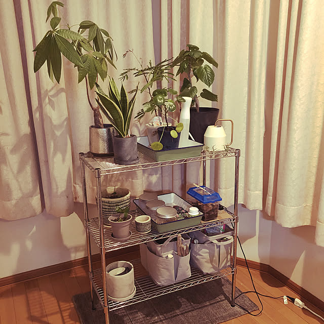 kikiraraさんの実例写真