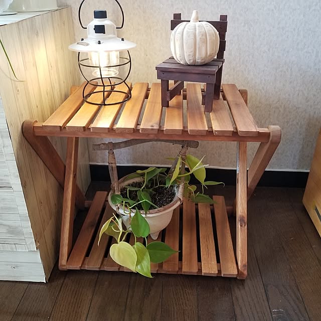 midoriさんの実例写真