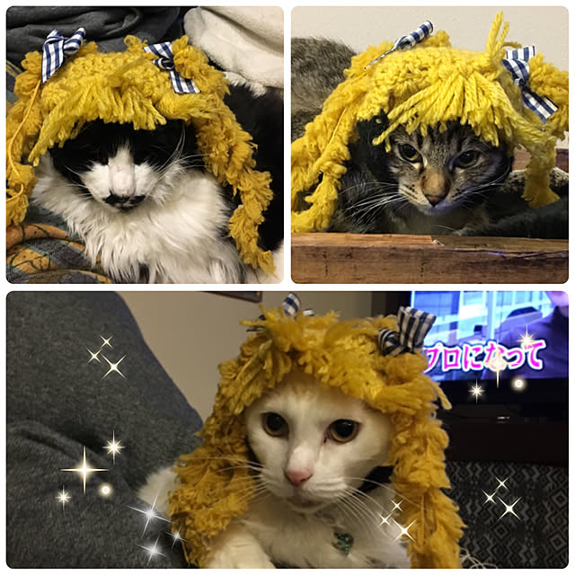 実例写真