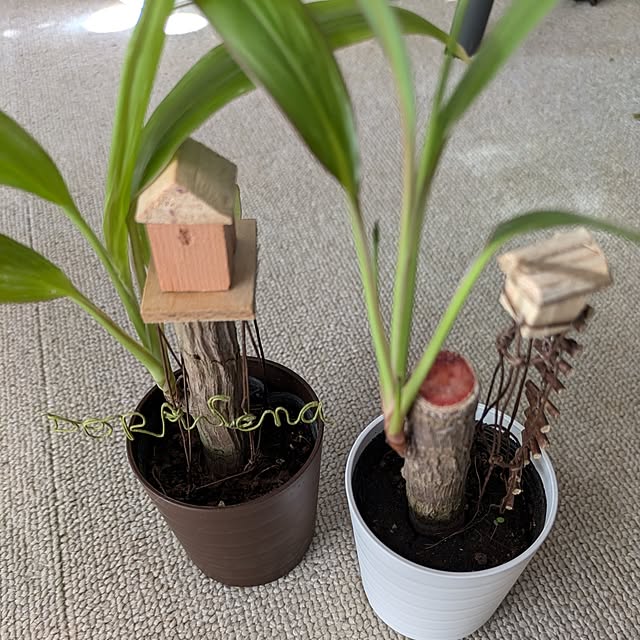 mori_6_12さんの実例写真