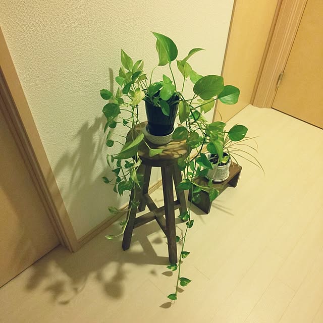 KOHAKUさんの実例写真