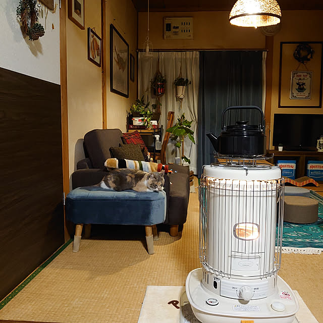 fukuさんの実例写真