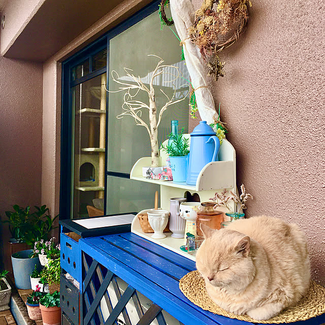 naokoさんの部屋