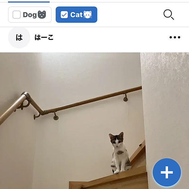 ha_koさんの実例写真