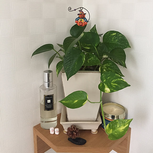 fu-mufumuさんの実例写真