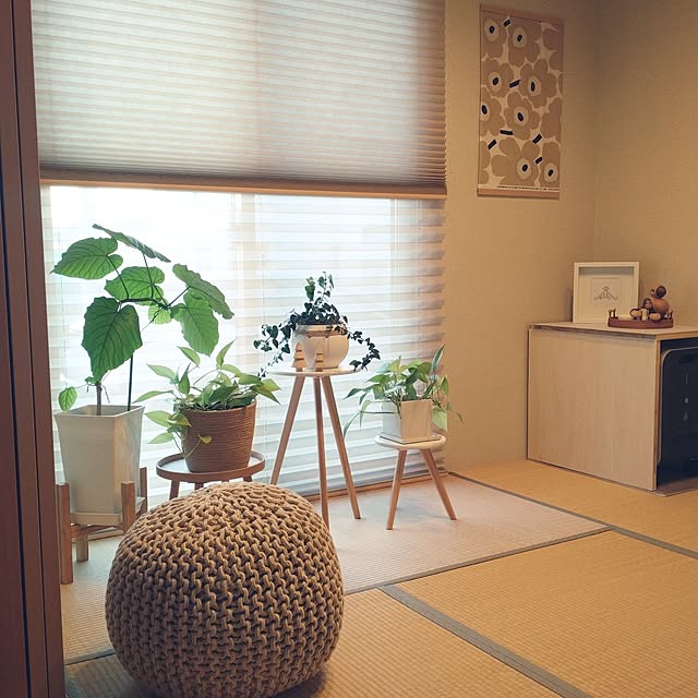 tan5さんの部屋