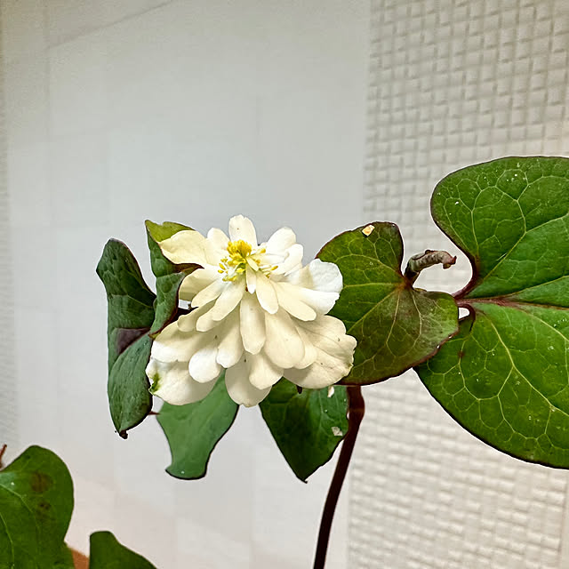 mizucchiさんの部屋