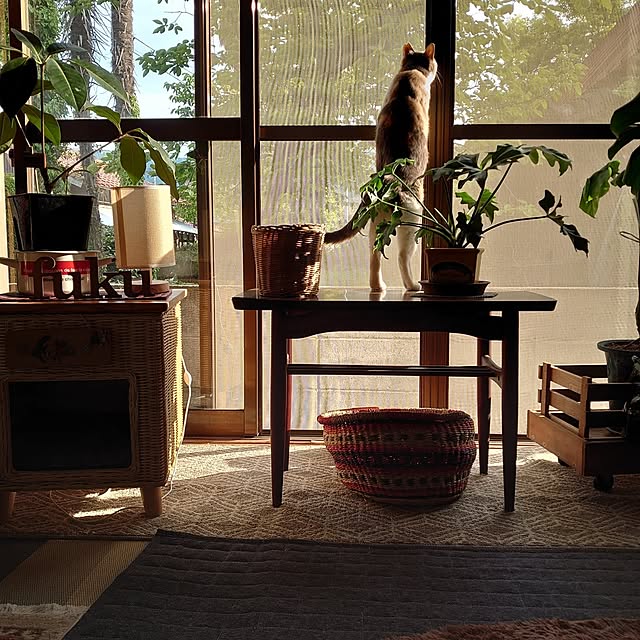 fukuさんの部屋