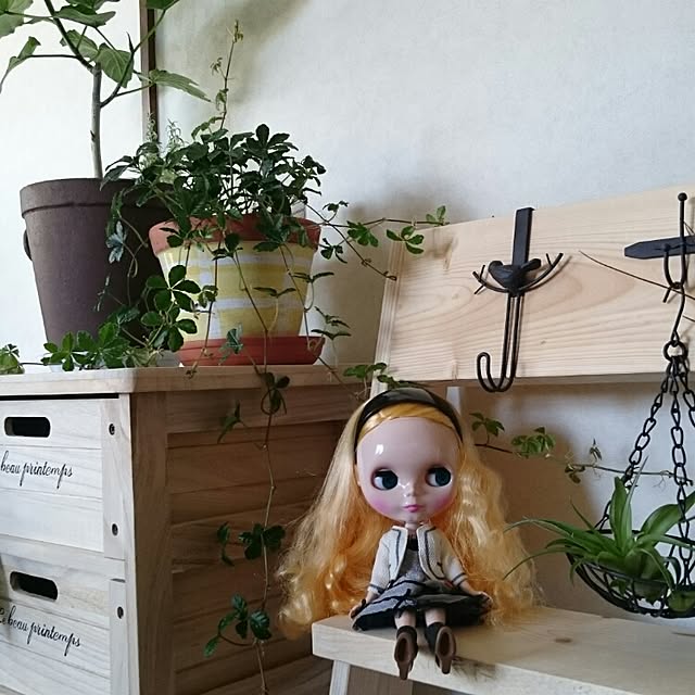 runaさんの実例写真