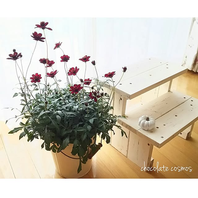 s.mamaさんの実例写真