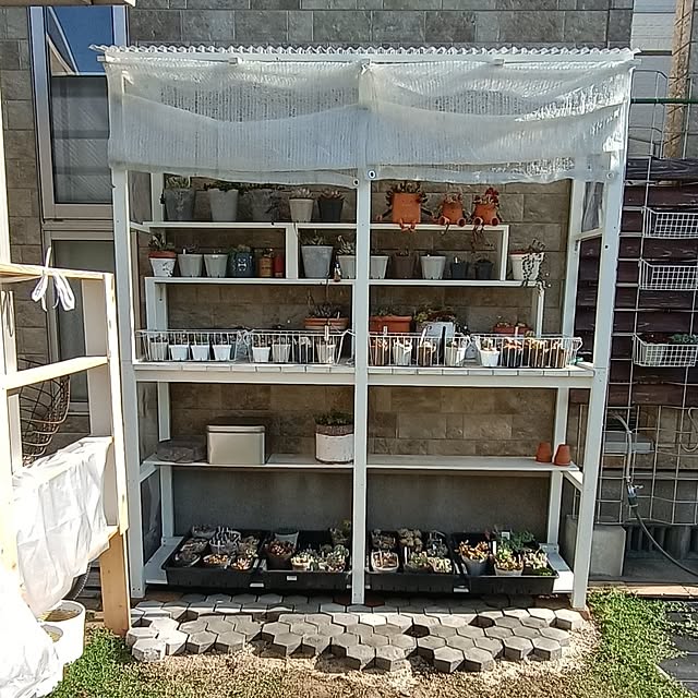 soyokoさんの部屋