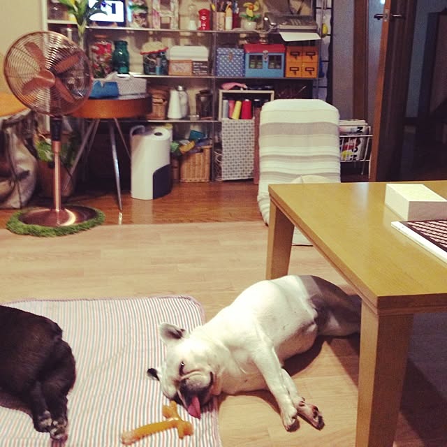 38coreさんの実例写真