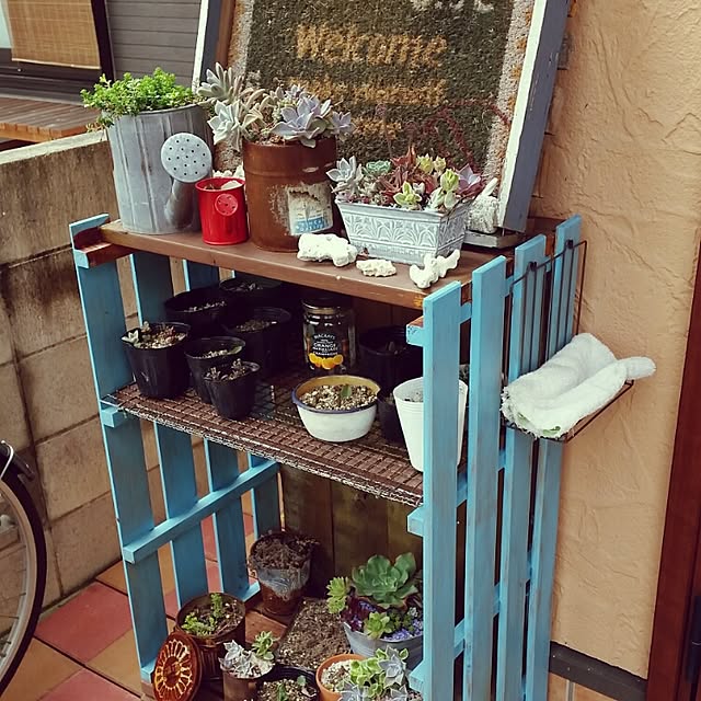 tanikusanさんの実例写真