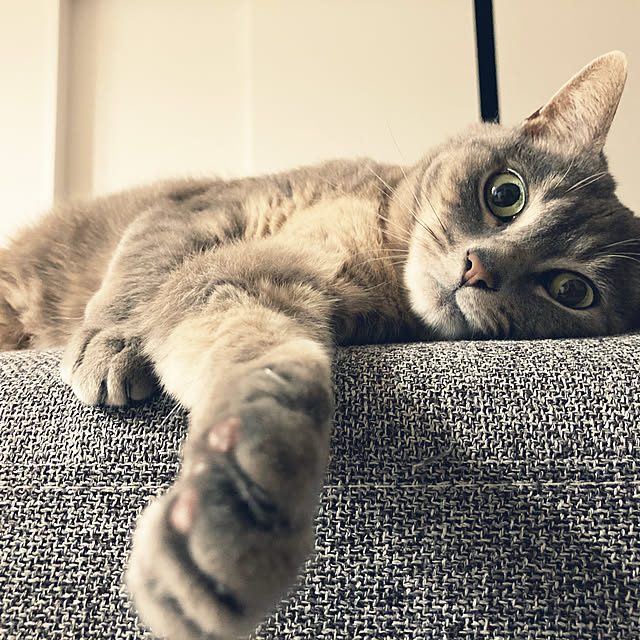 Roby1018さんの実例写真