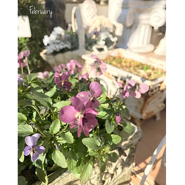 s.mamaさんの実例写真