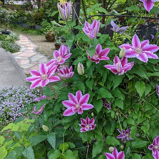 hiroさんの部屋