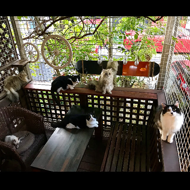 butachanさんの実例写真