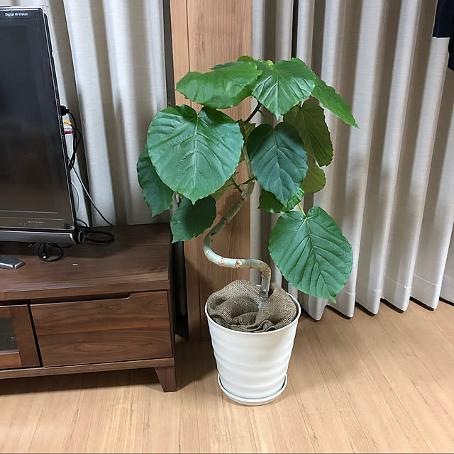 mameko21さんの実例写真