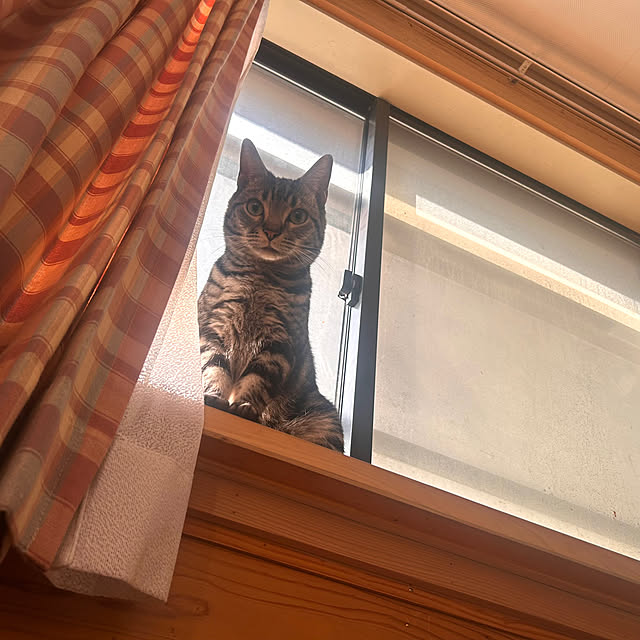 yumiさんの部屋