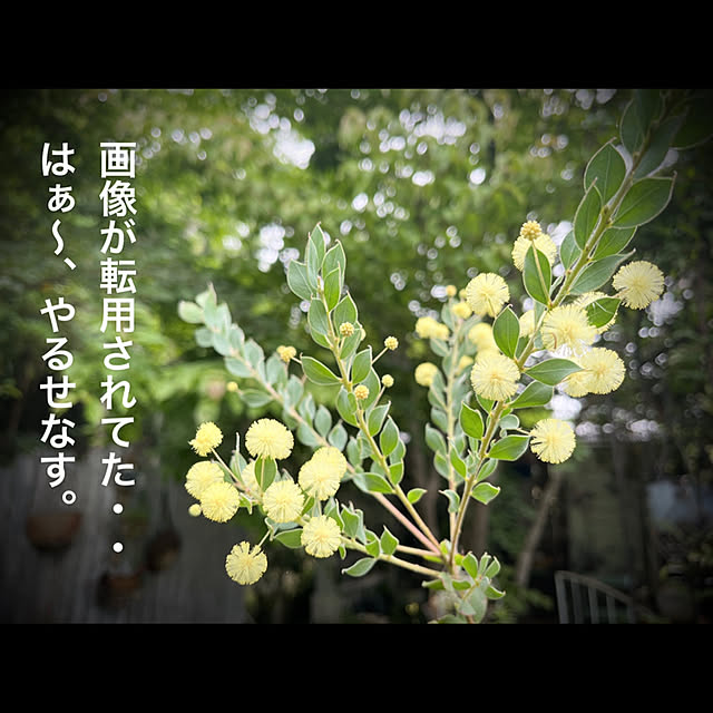 marusanさんの実例写真