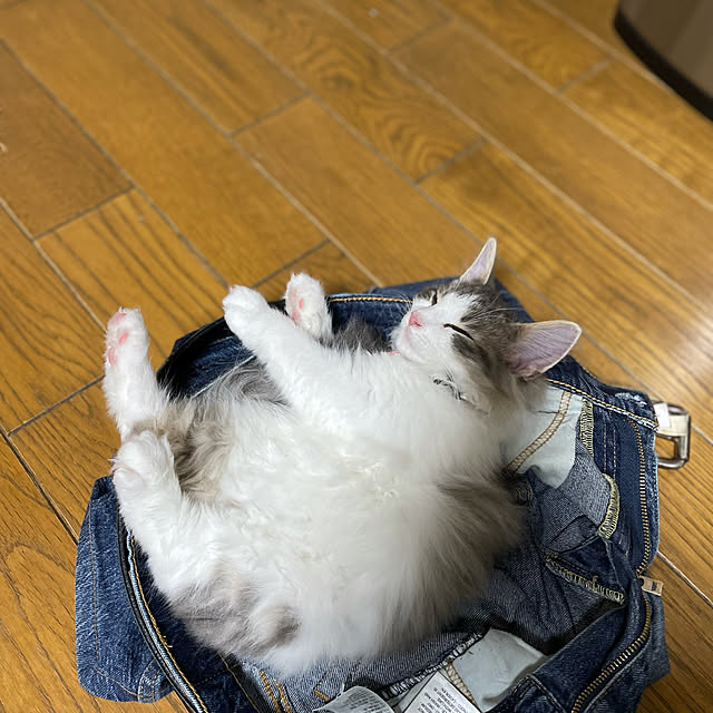 kazzuueeさんの実例写真