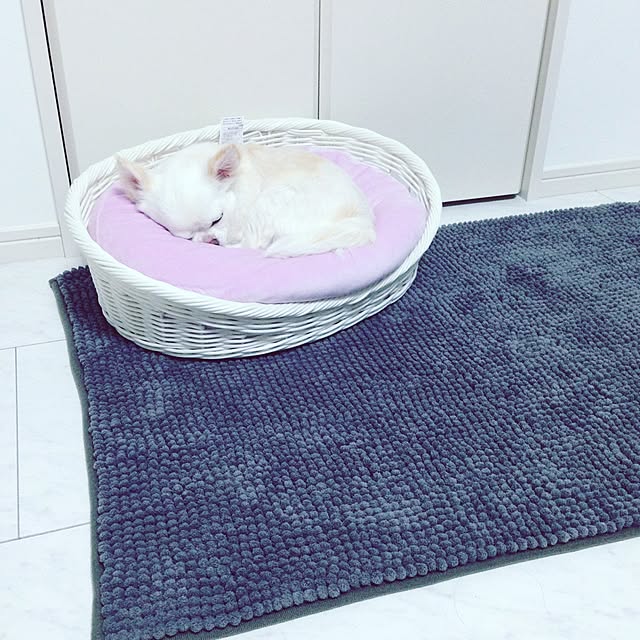 Emiさんの実例写真