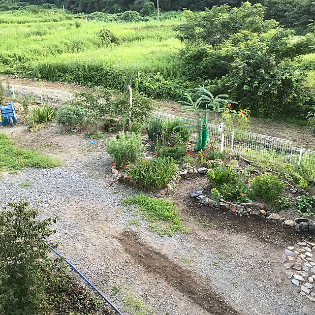 pepeさんの実例写真