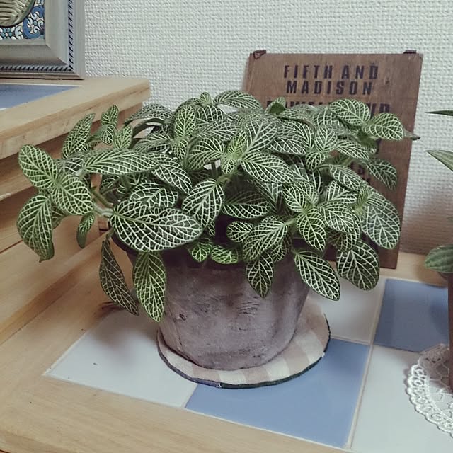 kenshuさんの実例写真