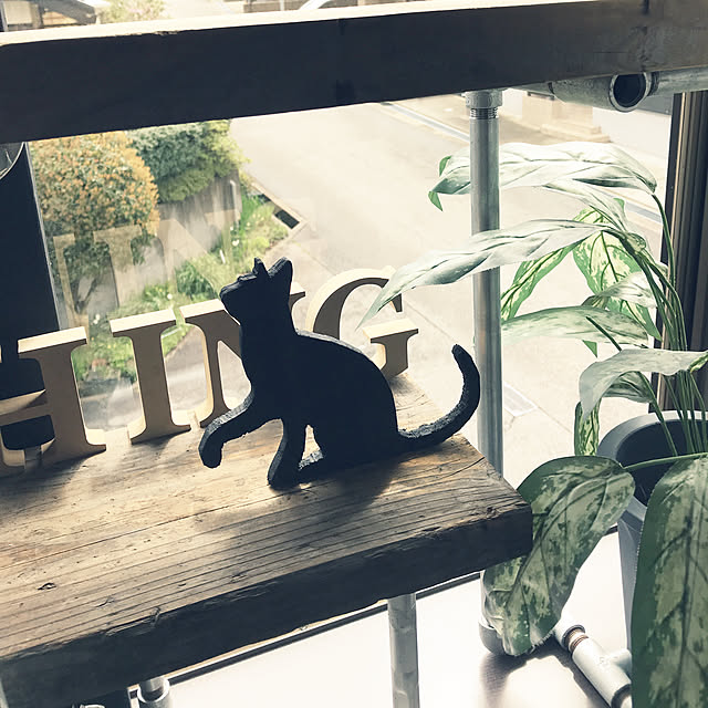 Waribashiさんの実例写真