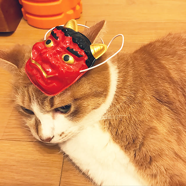lavie0125さんの実例写真