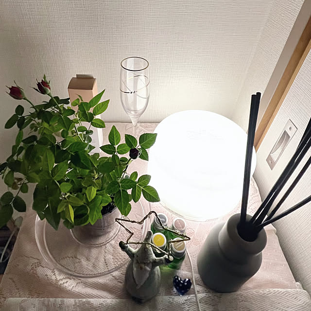 Angeliqueさんの実例写真