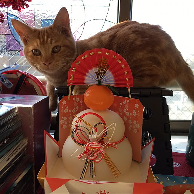 miyabiさんの実例写真