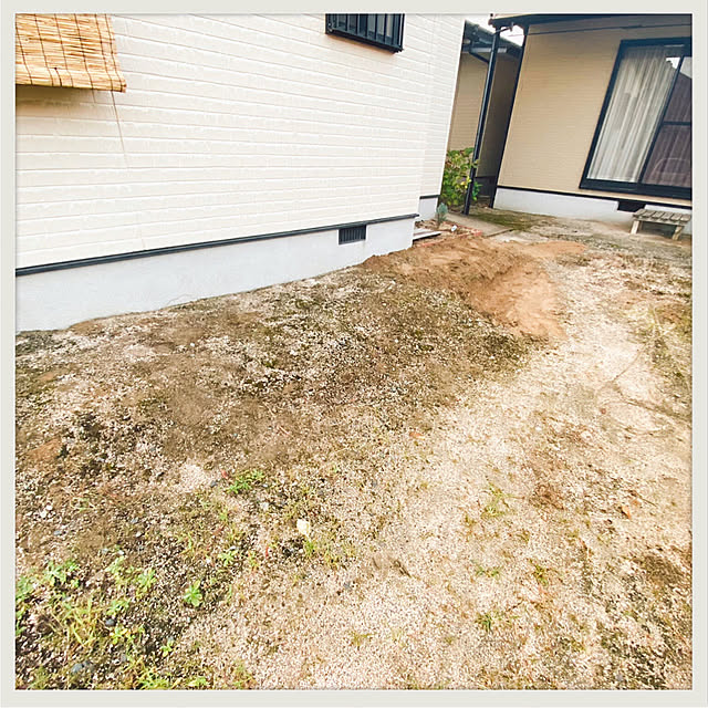 prelumoさんの部屋