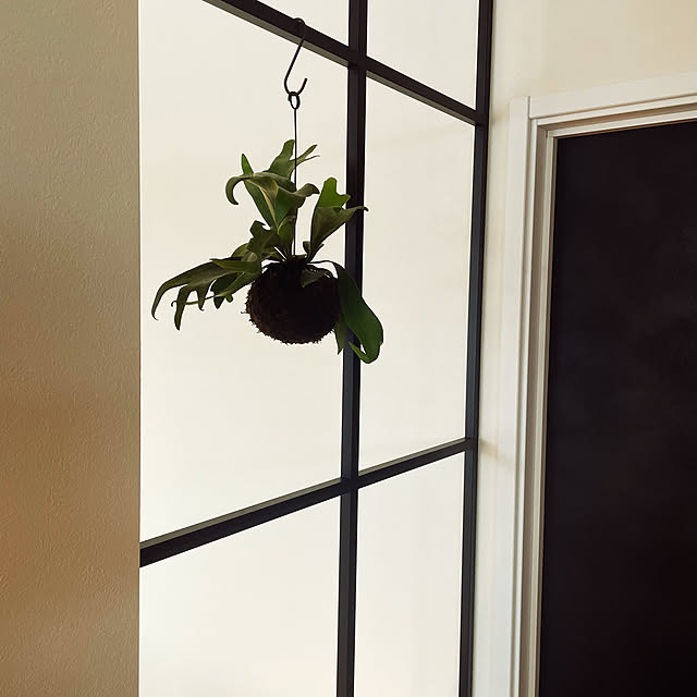 壁/天井/観葉植物/カフェ風のインテリア実例 - 2023-10-04 10:19:29